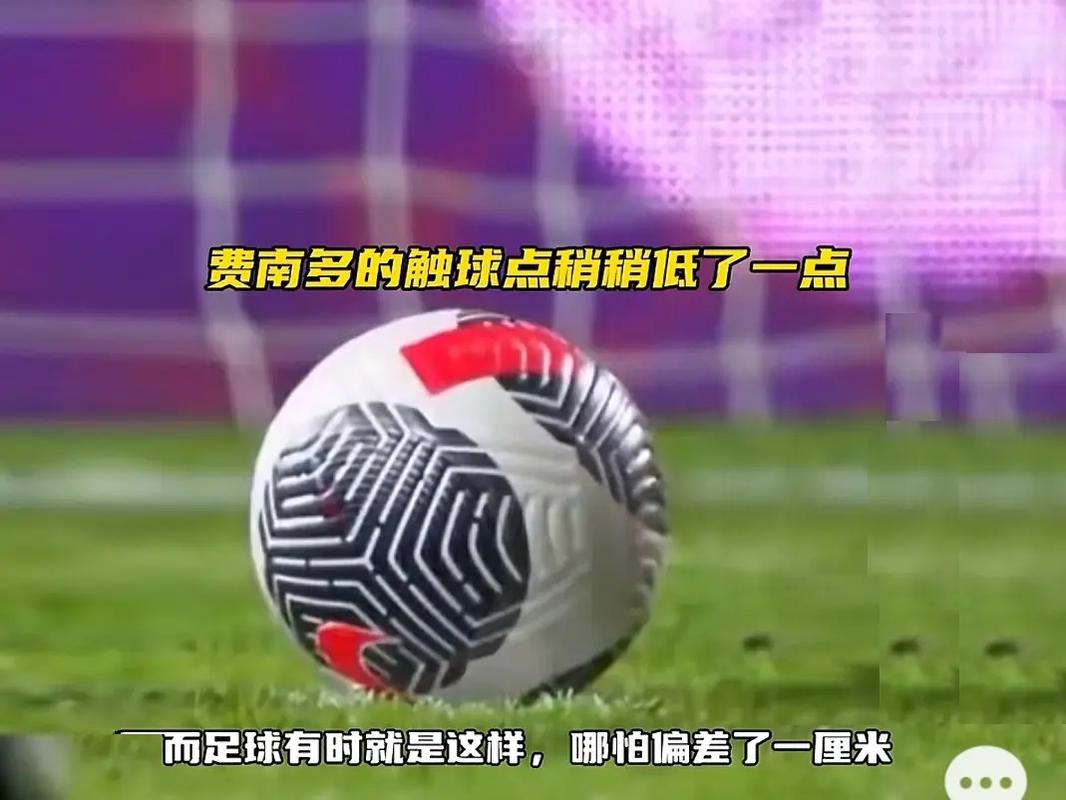 不仅反映了