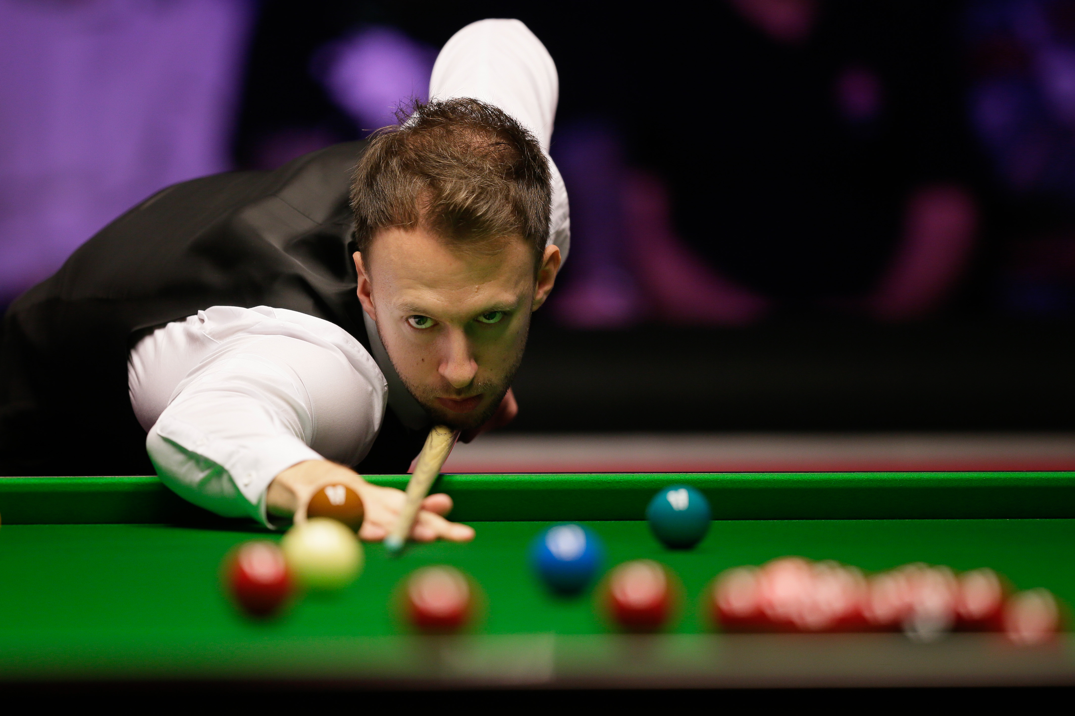 庭型观众来 庭型观众来