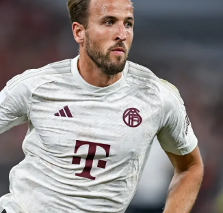 尊重对手 尊重对手